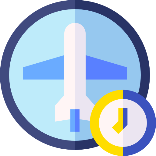 checking your flight status